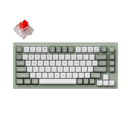 Keychron Q1 QMK VIA custom mechanical keyboard 75 percent full aluminum knob Mac Windows RGB backlight hot swappable Special Edition green Keychron K Pro red switch